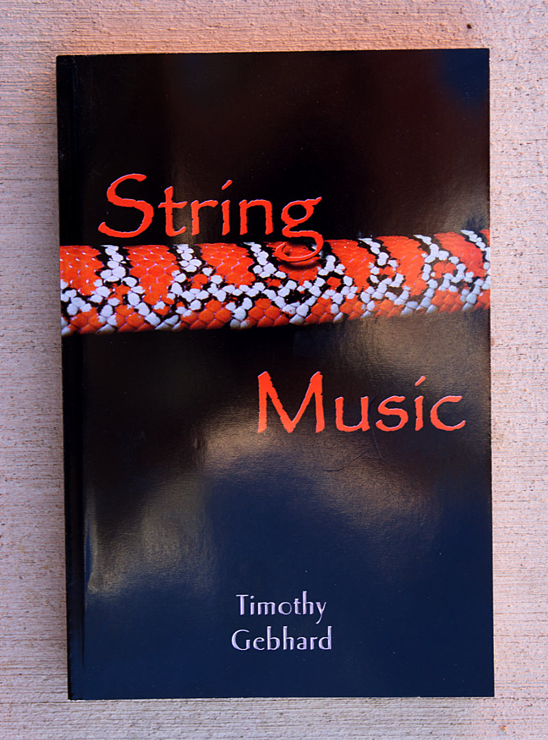 String
          Music